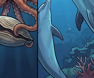 gap-behavior-01_dolphin-learning-from-another-dolphin_p2-0241_v01.png