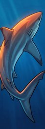 gap-behavior-14_shark-continuous-swimming_p2-0254_v01.png