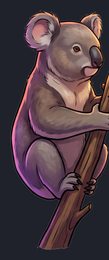 koala_p2-0015_view-03_transparent_v01.png