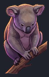 koala_p2-0015_view-05_transparent_v01.png