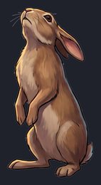 rabbit_p2-0057_view-04_transparent_v01.png
