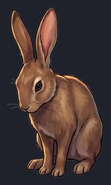 rabbit_p2-0057_view-05_transparent_v01.png