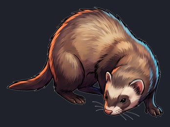 ferret_p2-0059_view-05_transparent_v01.png