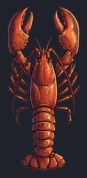 lobster_p2-0081_view-02_transparent_v01.png