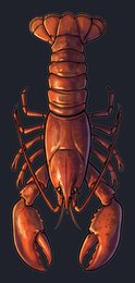 lobster_p2-0081_view-05_transparent_v01.png