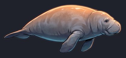 manatee_p2-0089_view-01_transparent_v01.png