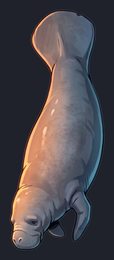 manatee_p2-0089_view-03_transparent_v01.png