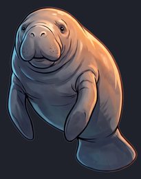 manatee_p2-0089_view-04_transparent_v01.png